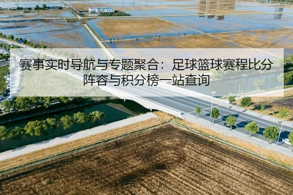 赛事实时导航与专题聚合：足球篮球赛程比分阵容与积分榜一站查询